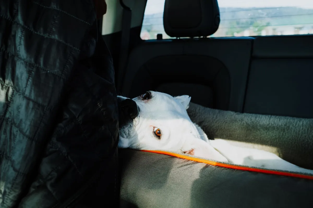 Pet hair car seat cover