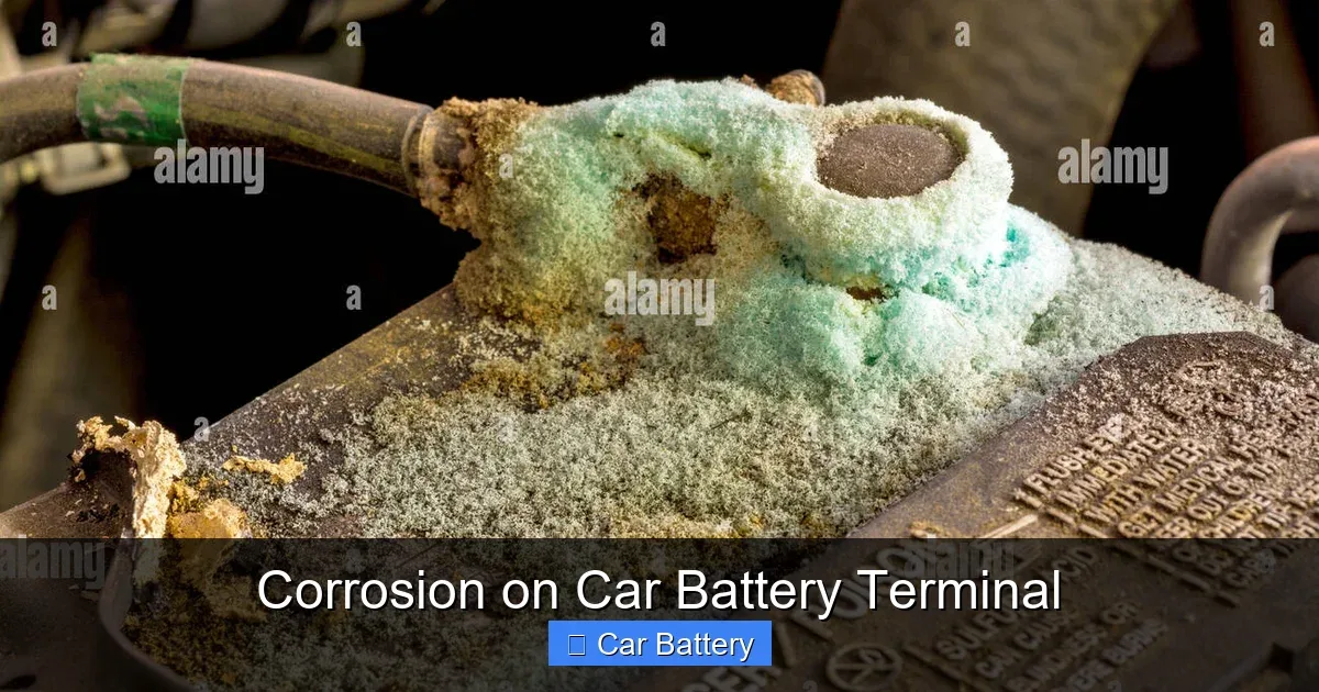 battery terminal corrosion types