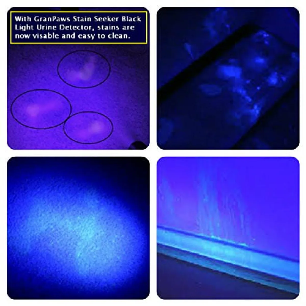 black light urine stain detection