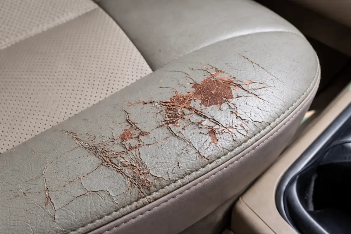 leather car seat water damage