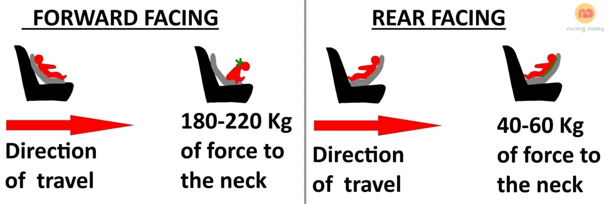 what is the law for car seats in florida
